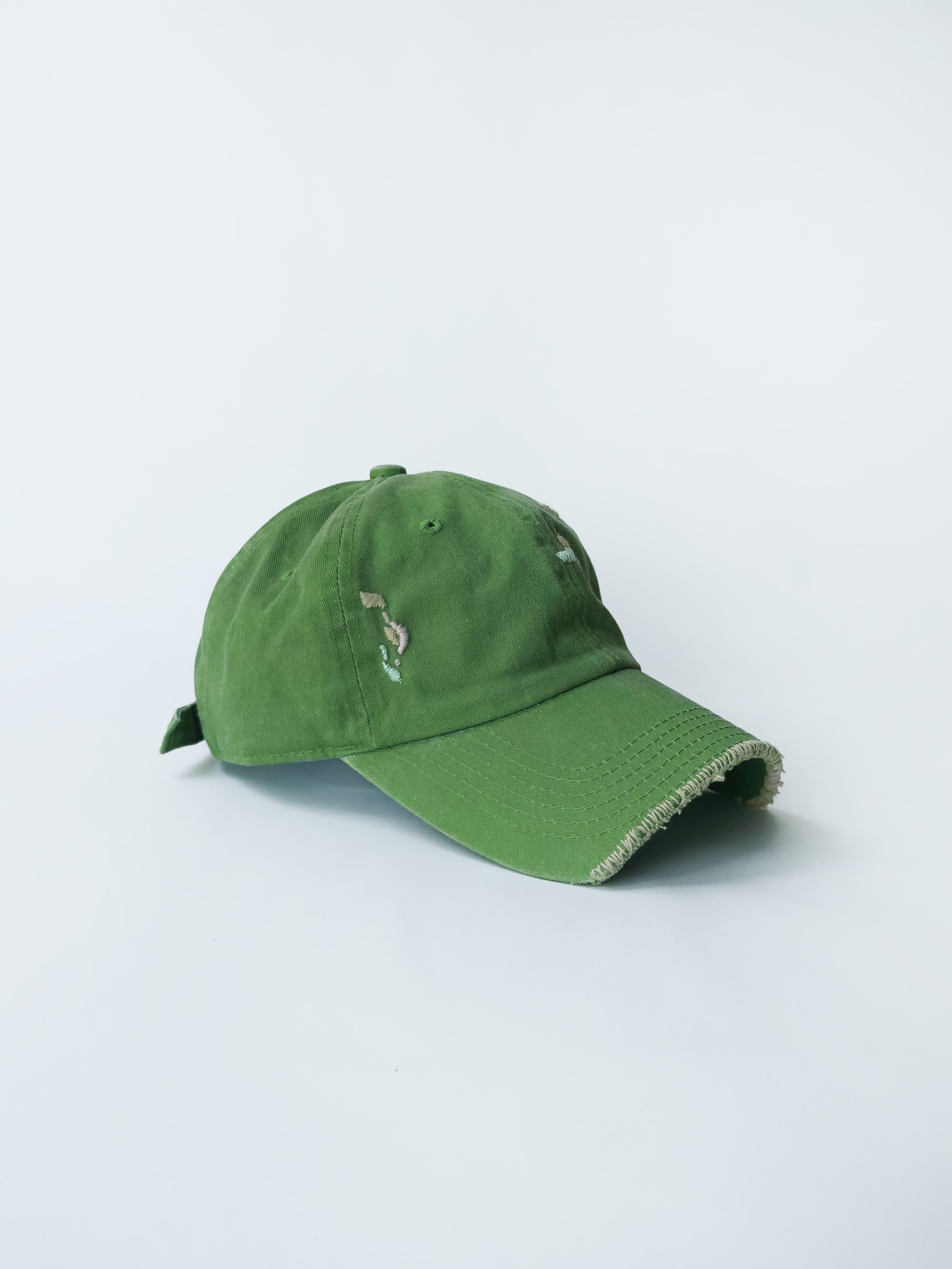 01-17 "La Casquette" Washed Green